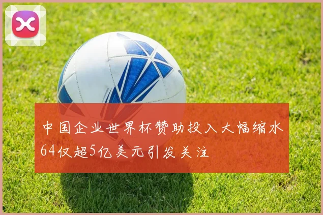 中国企业世界杯赞助投入大幅缩水64仅超5亿美元引发关注