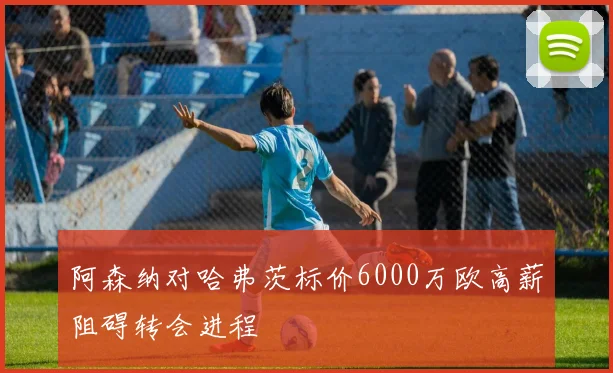 阿森纳对哈弗茨标价6000万欧高薪阻碍转会进程