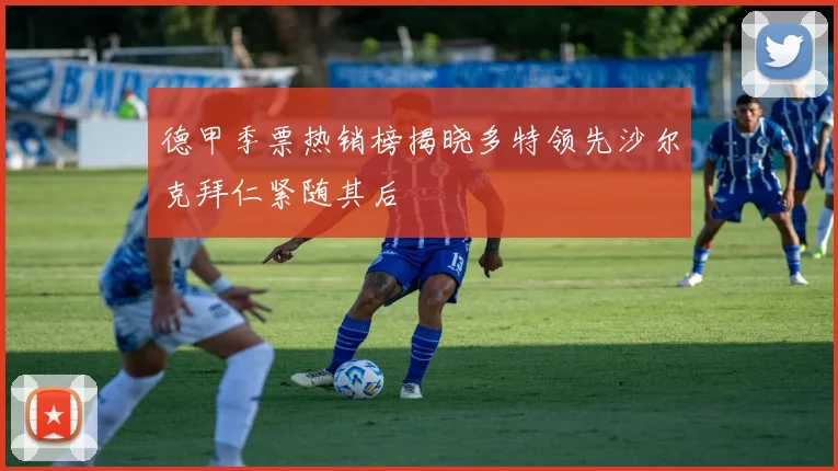 德甲季票热销榜揭晓多特领先沙尔克拜仁紧随其后